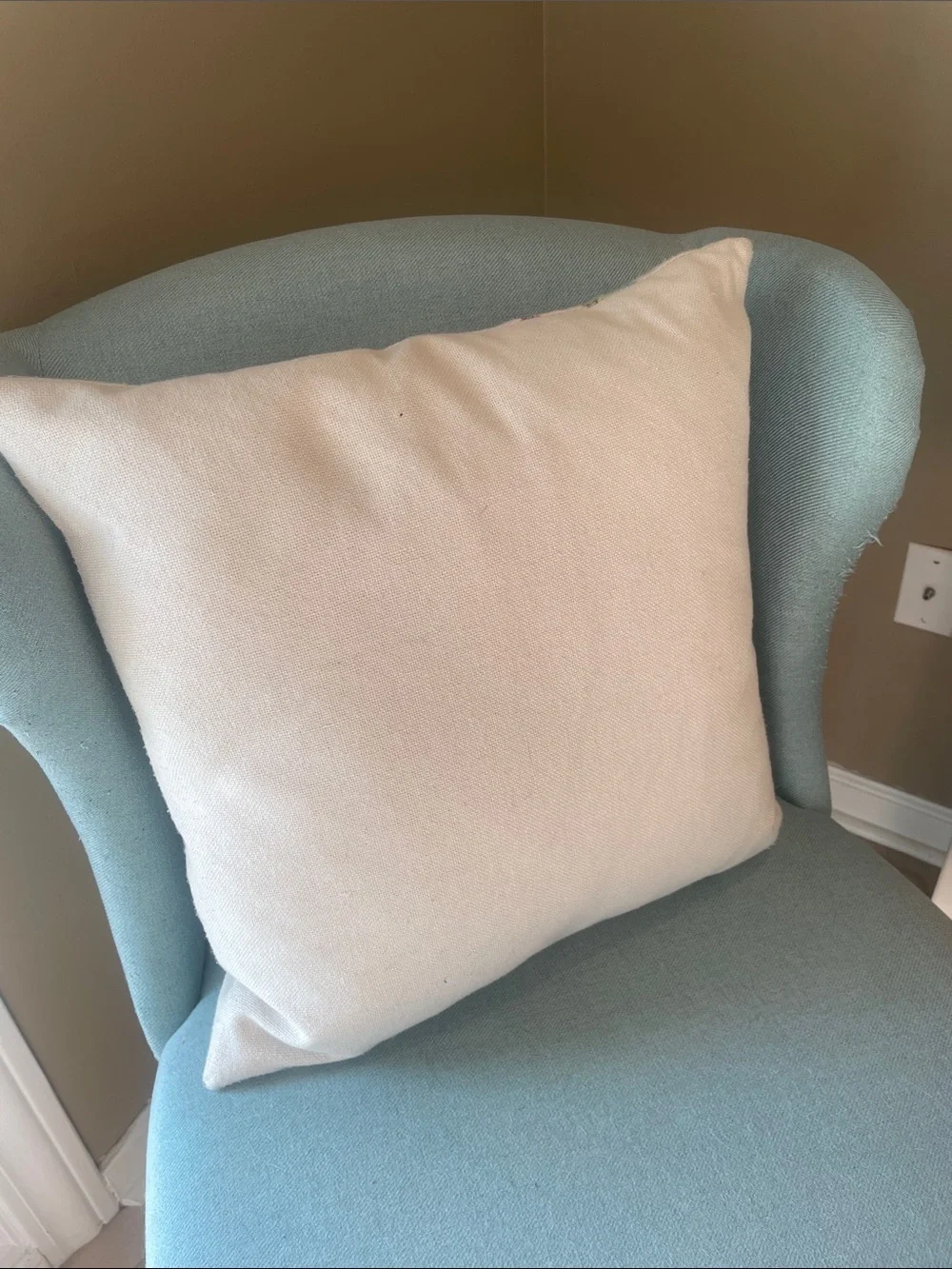 Watercolor cactus throw pillow like new